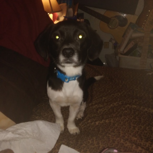 Meet your Posher, Jeffrey - Picture 1 of 1